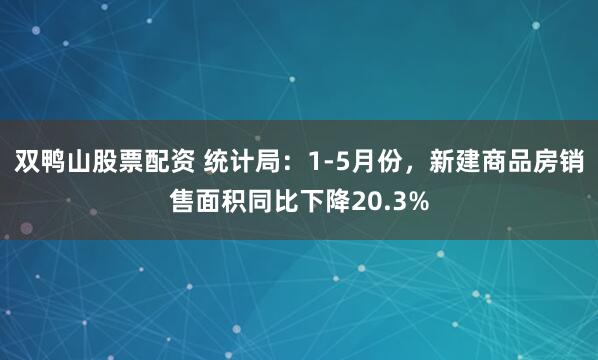 双鸭山股票配资 统计局:1-5月份,新建商品房销售面积同比下降20.3%