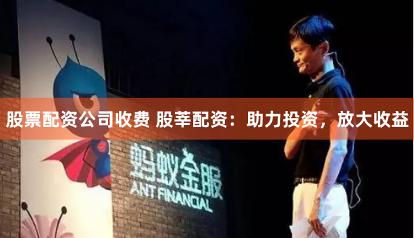 股票配资公司收费 股莘配资：助力投资，放大收益