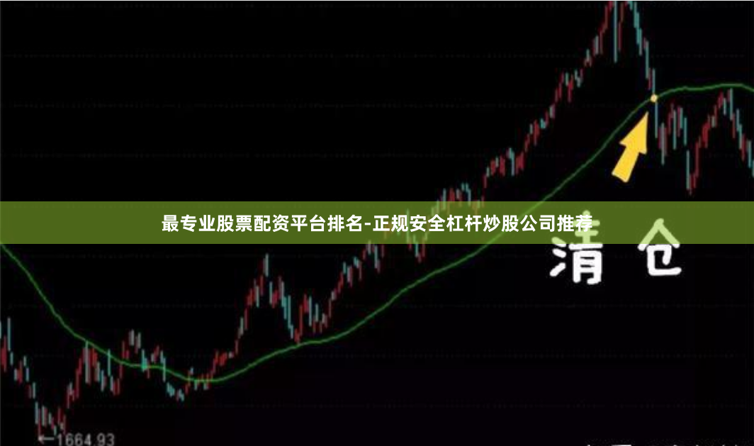 最专业股票配资平台排名-正规安全杠杆炒股公司推荐